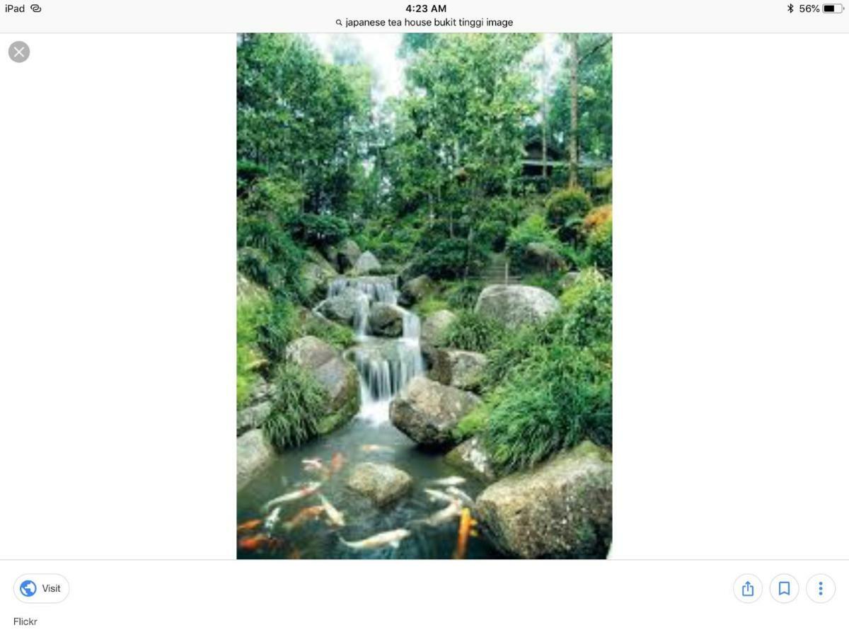 Bukit Tinggi Berjaya Hill Homestay Eksteriør bilde