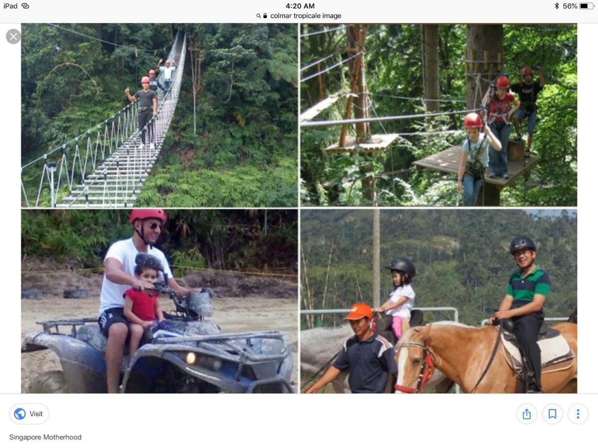 Bukit Tinggi Berjaya Hill Homestay Eksteriør bilde