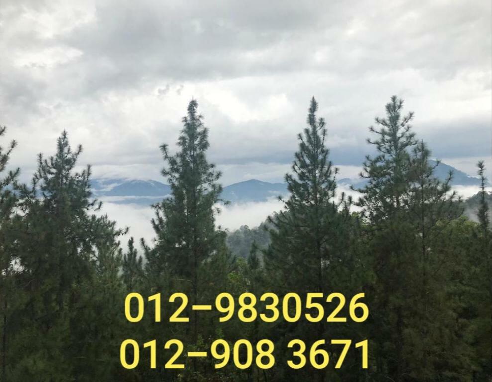 Bukit Tinggi Berjaya Hill Homestay Eksteriør bilde